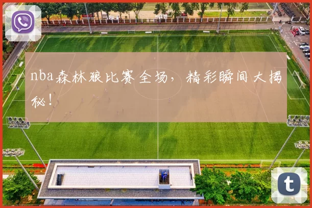nba森林狼比赛全场，精彩瞬间大揭秘！