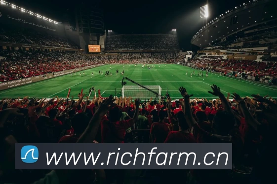 多媒体互动体验